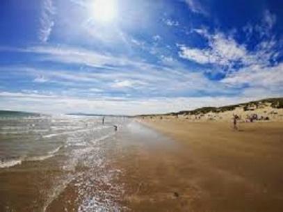 Camber Sands Holiday Chalets - The Grey Exterior foto